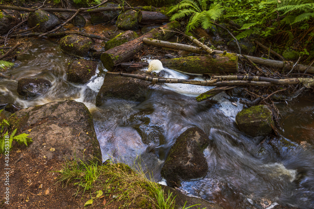 Beautiful summer nature landscape view. Small stream in green forest. Sweden. Beautiful summer nature landscape view. Small stream in green forest. Sweden.