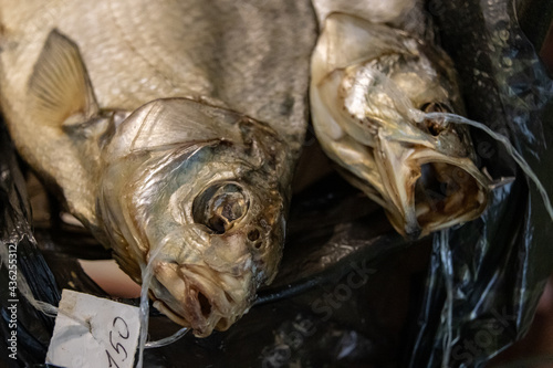 Dried fish on a fishing line on a black background
