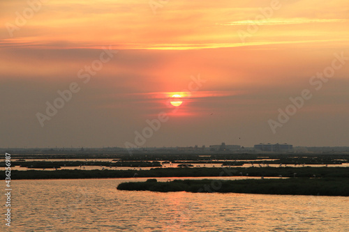 sunset and flamingos