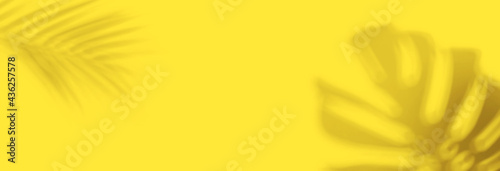 Wallpaper Mural Shadow background of tropical monstera and palm leaves Torontodigital.ca