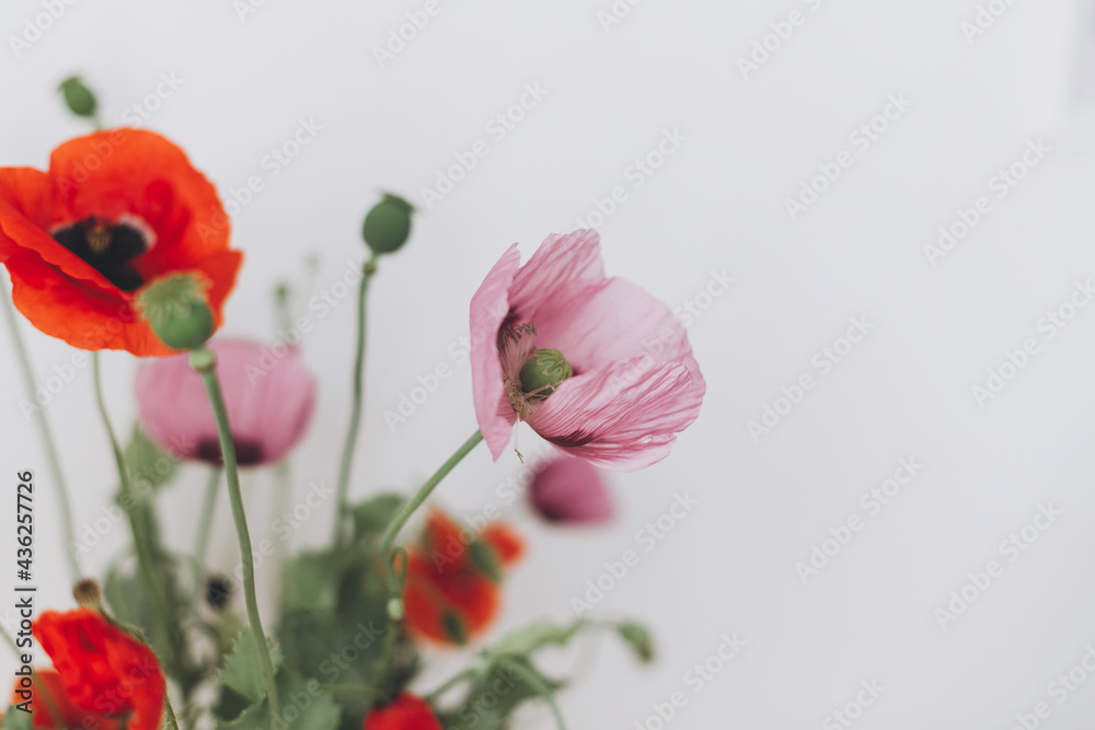 Naklejka premium Beautiful poppies bouquet on white wall background, petals close up. Gathering countryside wildflowers, rural still life. Red common poppy and purple opium poppy flowers