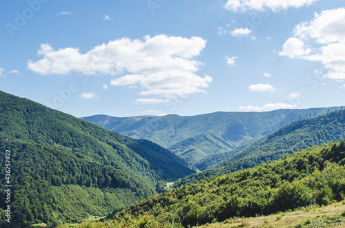 Fototapeta Naklejka Na Ścianę i Meble -  Carpathian landscape with forest slopes, mountain ranges and peaks. Holidays in the mountains