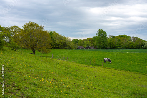 landscape with hors