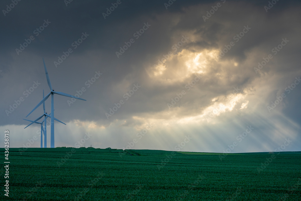 Obraz premium wind turbines in the field