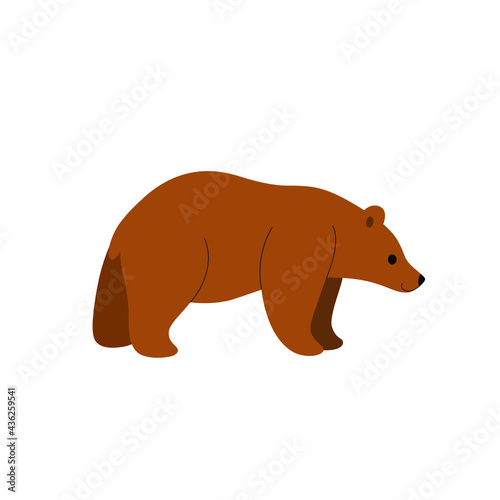 Cute bear - cartoon animal character. Vector illustration in flat style isolated on white background.