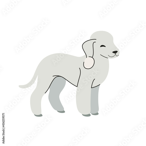Bedlington Terrier. Cute dog character. Vector illustration in cartoon style for poster, postcard.