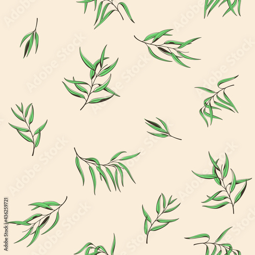 Branch of eucalyptus. Trendy pattern with twig. Vector contour illustration.