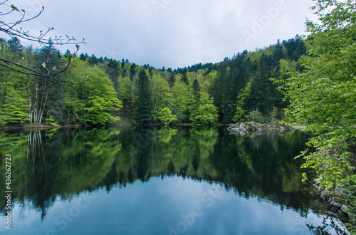 arbres au printemps se reflétant dans un lac des Vosges près de Lepuix et du Ballon d'Alsace
