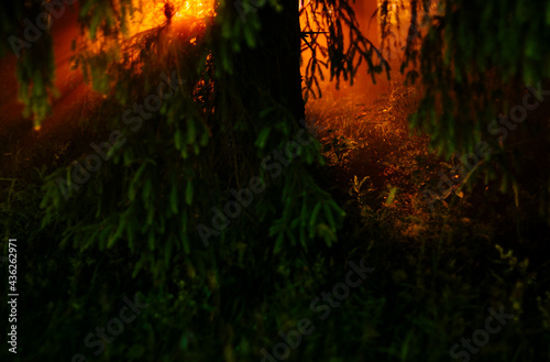 Sunrise on a Misty morning photo