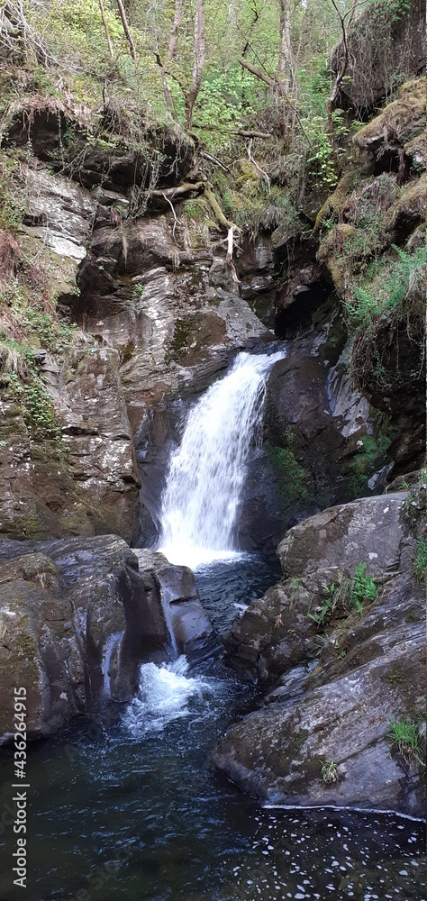 Fototapeta premium waterfall in the forest