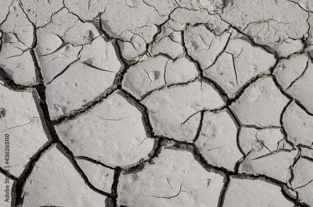 dry cracked soil dry cracked soil