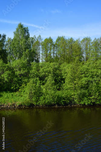 The coastal green forest on the river bank grows in two rows: the closest to the water - shrubs, the farthest-tall trees. Their reflection in the water creates a third row..