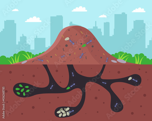 a large anthill with passages underground. flat vector illustration.