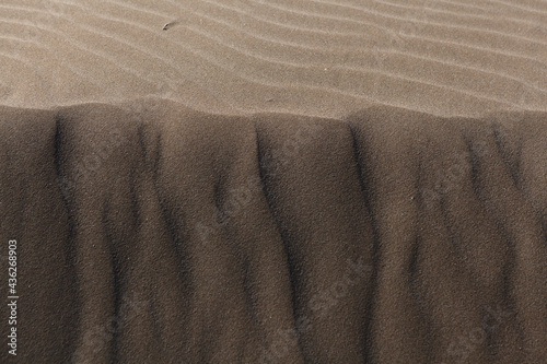 Fototapeta Naklejka Na Ścianę i Meble -  desert sand dunes background with copy space