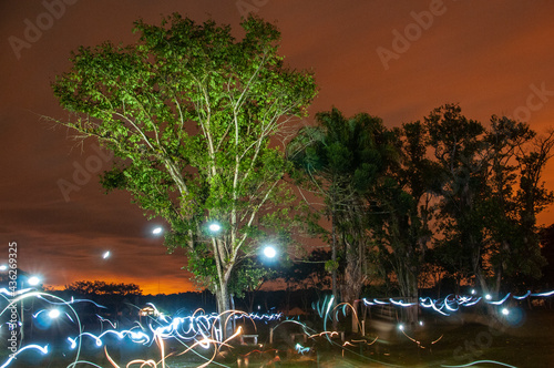 Fotografia noturna com poluição luminosa refletida no céu, árvore iluminada e riscos de lanterna produzidos por longa exposição, resultando numa foto dinâmica e divertida.  photo