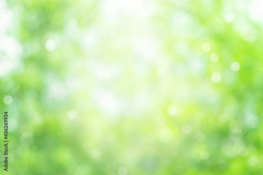 Green blurred natural background. Abstract summer background with bokeh Green blurred natural background. Abstract summer background with bokeh