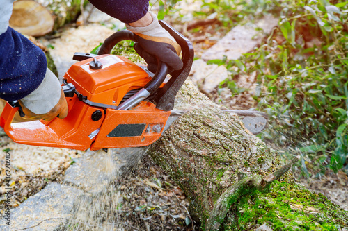 Man cutting tree with chainsaw down to prevent them from falling