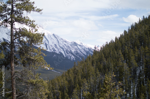View of the Mountain Peaks from Forest