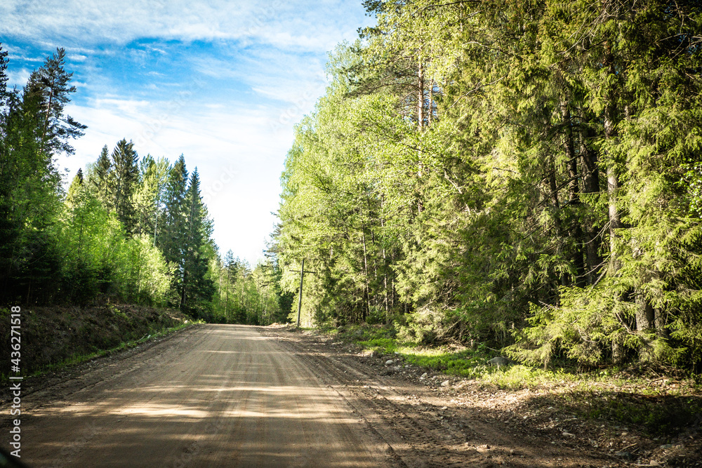Obraz premium The road among the Karelian taiga. Pine forest on the side of the road. Trip to Karelia. Highway among the trees. Driving on a trip to beautiful places. Karelia. Day.