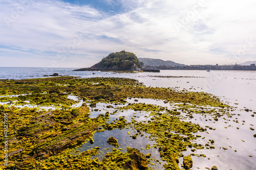 Marine vegetation at low tide on the beach of Ondarreta in San Sebastián and the island in the background. Province of Gipuzkoa, Basque Country. Spain photo