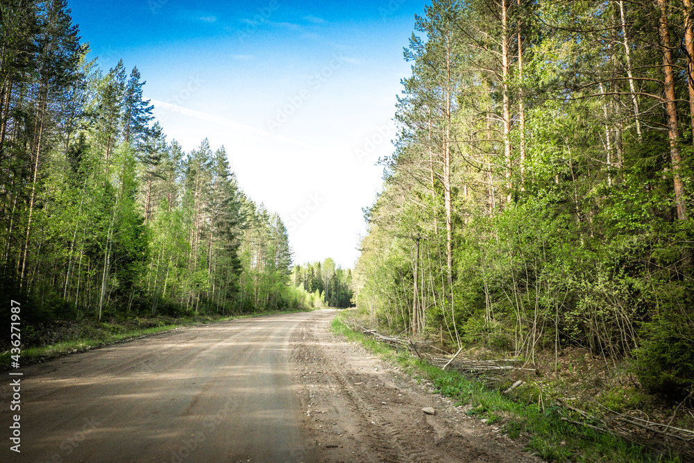 Fototapeta premium The road among the Karelian taiga. Pine forest on the side of the road. Trip to Karelia. Highway among the trees. Driving on a trip to beautiful places. Karelia. Day.