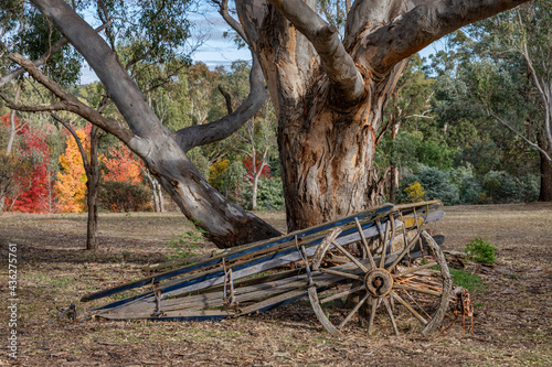 Old wagon under a gum tree - Heathcote  Victoria  Australia