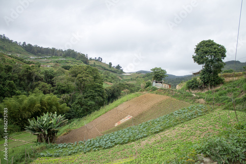 Landscape and fields in tropical mountains © dep2014