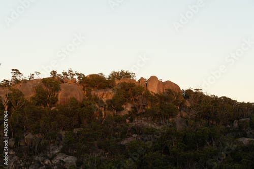 girraween national park  photo