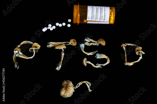 Psychedelic Magic Mushrooms of the genus Psilocybe Cubensis for treatment of mental health problems like PTSD, depression and anxiety