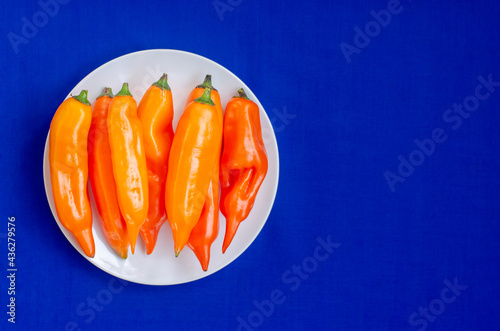 Peruvian pepper in a plate on a blue background  photo