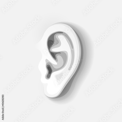 Human's ear, side view of auricle in gray colors