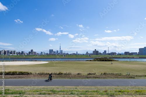 青空を背景に足立区側河川敷から見た墨田区方面の風景