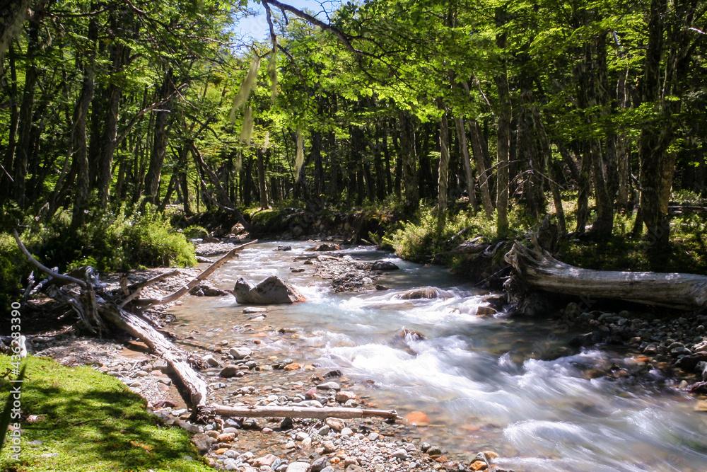 Obraz premium River in the forest, in Chubut, Patagonia Argentina