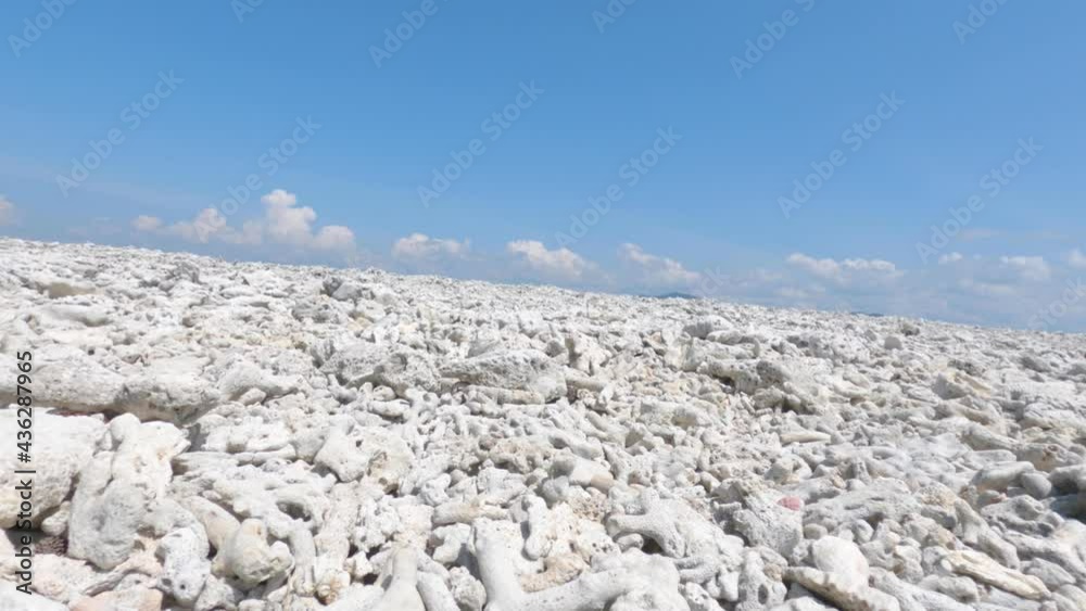 cloudflyer white coral