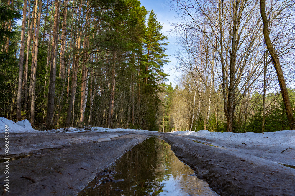 Spring. Puddles on a forest road. Spring. Puddles on a forest road.