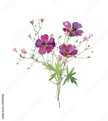 Watercolor bouquet of pink wildflowers on a white background