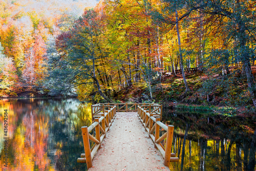 Autumn forest landscape reflection on the water with wooden pier - Autumn landscape in (seven lakes) Yedigoller Park Bolu, Turkey