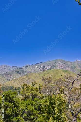 Andrew Molera state park, Big Sur, hiking, California, landscape, mountain, nature, sky, autumn, forest, mountains, fall, green, blue, tree, view, hill, trees, cloud, valley, clouds, yellow, hills
