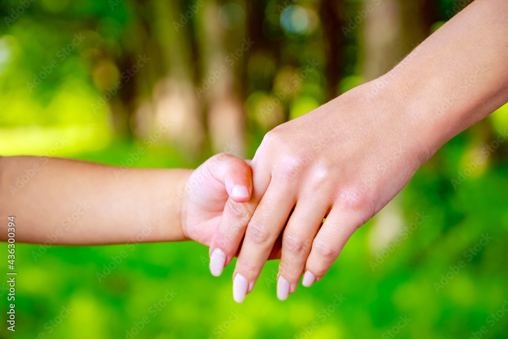 hands Happy parents and child outdoors in the park hands Happy parents and child outdoors in the park