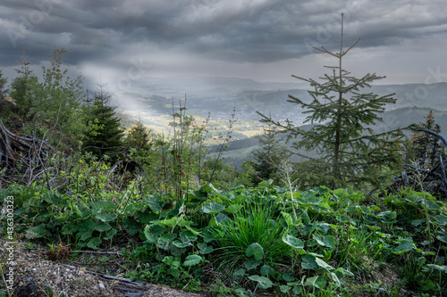 landscape  with view of the alps  photo