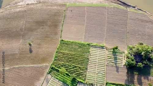 Drone View of Traditional Joom style cultivation by aboriginal people on riverbank of chengi in Khagrachari, Bangladesh photo