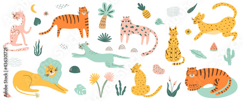 Wild cat set. Safri animals collection. Tiger, lion, leopard, jaguar African feline animals tropical palm