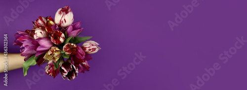 Hand with a bouquet of beautiful flowers on a purple background. Horizontal banner