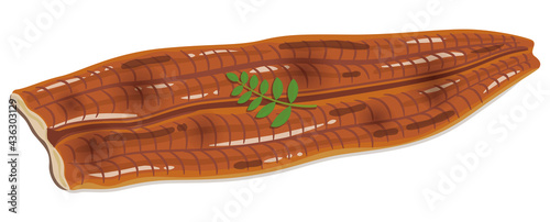 Grilled Eel Fillet (Unagi Kabayaki) Illustration