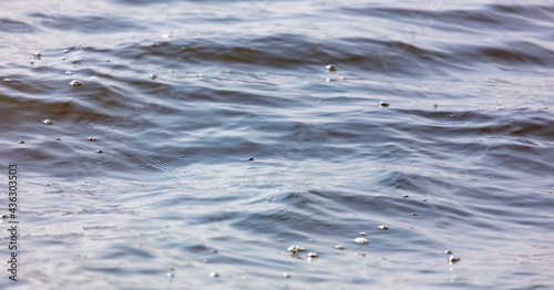 Water surface in the lake as a background.