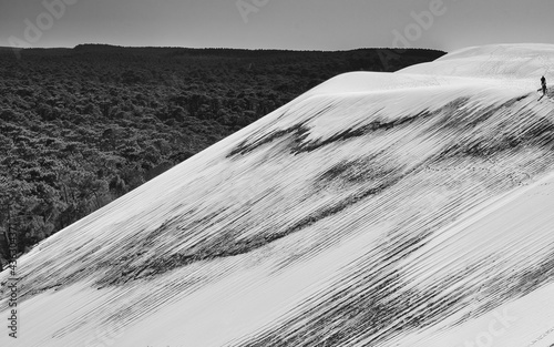 Le Monde vu depuis la dune du Pilat 
