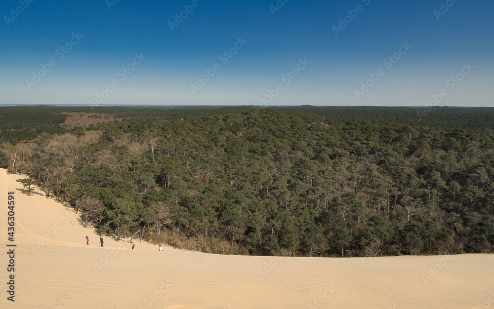 Le Monde vu depuis la dune du Pilat 