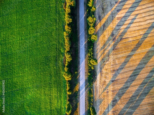 yellow and green road