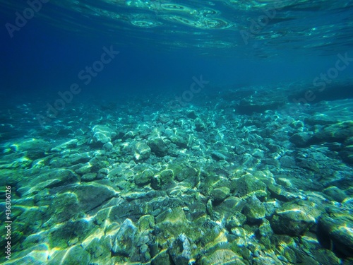 Coral reef in the sea