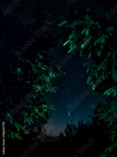 a fascinating view of the starry sky and comet C.2020 F3 NEOWISE with a light tail. long-exposure photography  selective focus  banner. night shooting of a comet in the forest  focusing on the comet